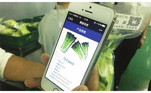 蔬菜二维码溯源系统